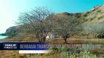 Destinasi Wisata Pantai Pink Labuan Bajo Pulaun Komodo NTT