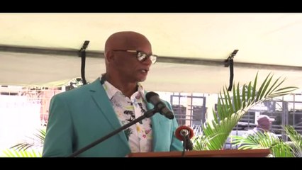 FIREWORKS YAY OR NAY