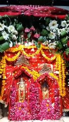 Shri Mata Mansa Devi Live Aarti & Darshan ✨