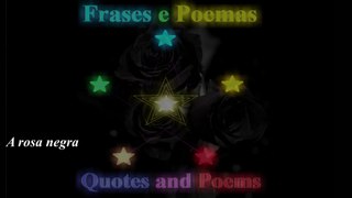 A rosa negra é especial, ela é pura escuridão, trás a morte... [Poesia] [Remake] [Frases e Poemas]