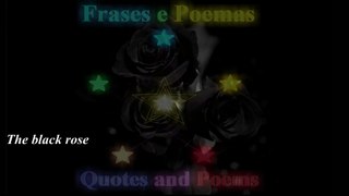 The black rose is very special, it is pure darkness, brings death with satisfaction... [Poetry] [Remake] [Quotes and Poems]