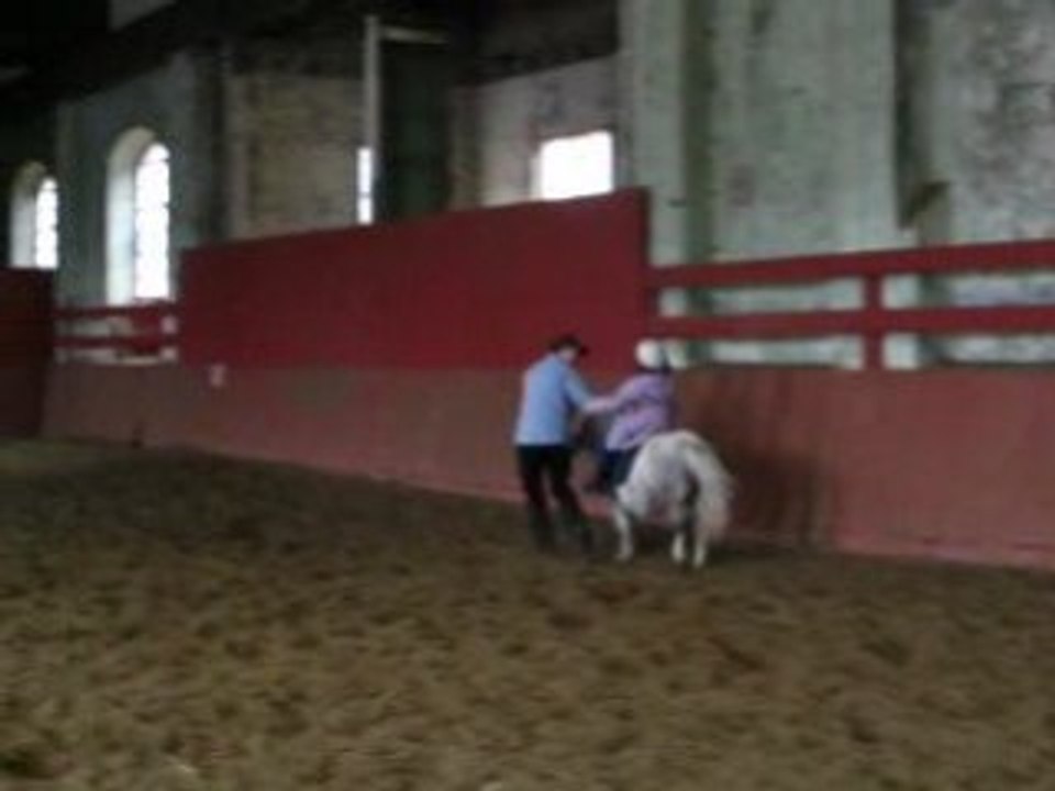 Equitation au Centre de loisirs equestre du Carreau...