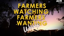 Introducing the ACM 'Farmers Watching Farmers Wanting Wives' blog | August 31, 2022 | ACM