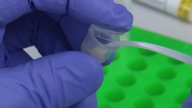 [더뉴스] 21년 만에 미제 사건 푼 'DNA'...수사 얼마나 진화했나? / YTN