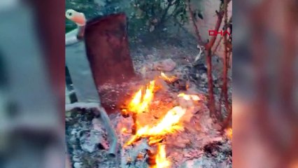 Ünsal Ban'ın şoförünün evinde arama: Evrak yakan eşi ve baldızı gözaltına alındı