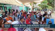 Uji Coba Tambak Milenial Juara, Ridwan Kamil : 8 Ribu Pemuda Minat Jadi Petani Milenial