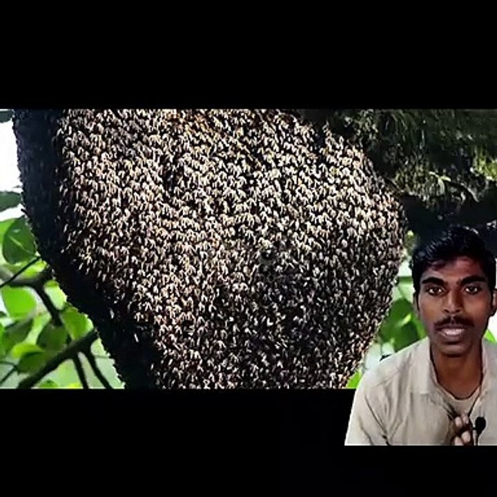 ओ_माय_गॉड_यह_आदमी_इंसान_है_या_जानवर_o_my_god