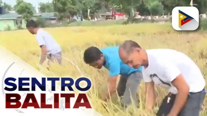 Dept. of Agriculture, nagpaliwanag sa ayudang hindi pa naibibigay sa mga magsasaka