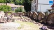 Fouilles avec Archéologie Alsace : l'histoire du bâtiment roman