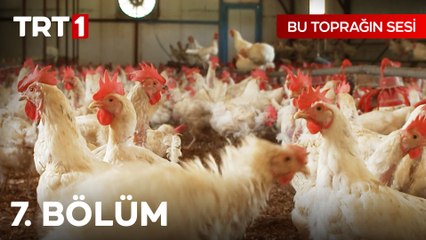 Bu Toprağın Sesi 7. Bölüm