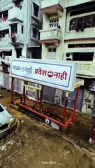 Ganpati_status_video_#short_#video_#status_#ganpati_#bappa_#morya_#reels_#mumbai_#ganeshotsav(480p)