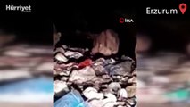 Erzurum'da 20'den fazla ayı çöplükte yiyecek ararken böyle görüntülendi