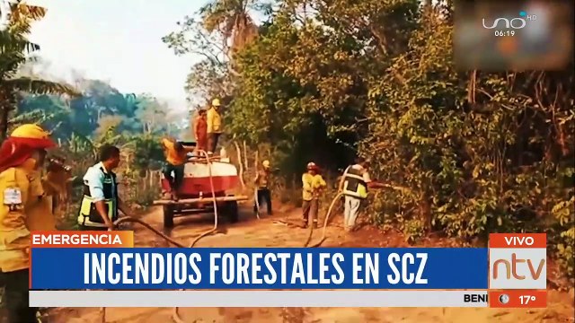Incendios Forestales en Santa Cruz arrasan con la biodiversidad.