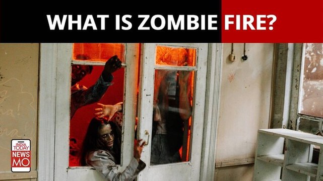 Zombie Fires: What is this rare phenomenon spreading across Russia, Canada and Alaska?