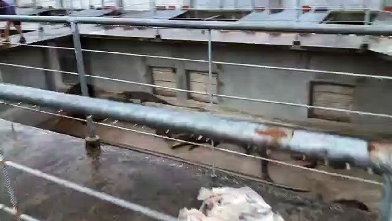 Facebook_1661074348218(360p)