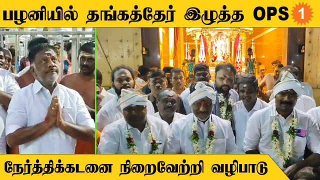 OPS | பழனி முருகன் கோயிலில் தங்கத்தேர் இழுத்து ஓ.பன்னீர்செல்வம் வழிபாடு