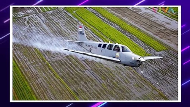 Pesawat Latih TNI AL Bonanza T-2503 Jatuh, Begini Faktanya