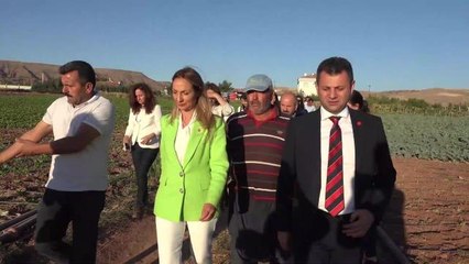 Aksaraylı Çiftçi: Kendimize Yetecek Kadar Yapacağız. Yapmayacağız Bu İşi