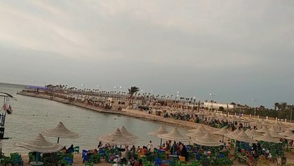 شواطئ البحر الأحمر