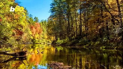 This Fall - Movie Like Views In A Park Near You