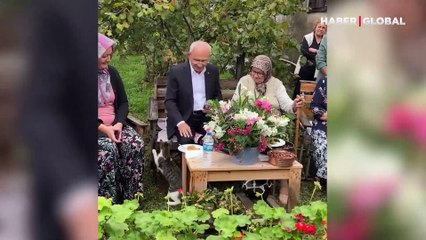 Kemal Kılıçdaroğlu'nu rahat bırakmayan kedi güldürdü