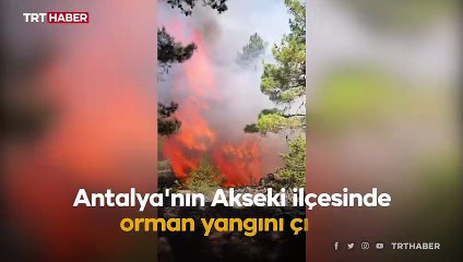 Antalya'da orman yangını: Müdahale sürüyor