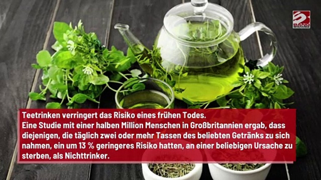 Tee lässt uns länger leben