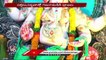 Ganesh Chaturthi 2022  Ganesh Chaturthi Festival Grandly Celebrated Across The  State | V6 News