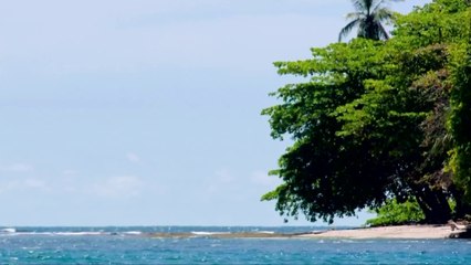 bd-las-bellezas-de-caribe-310822