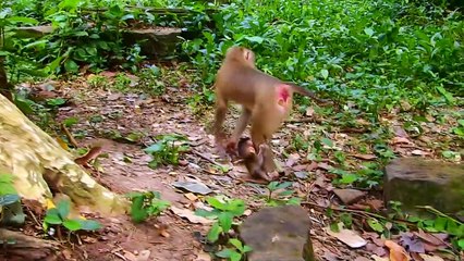 Libby not worry about Rainbow #13