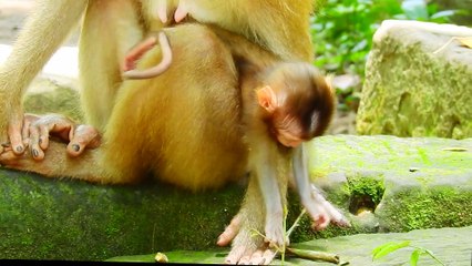 61=Very sad i'm hungry .. look Rainbow skinny poor drink every day