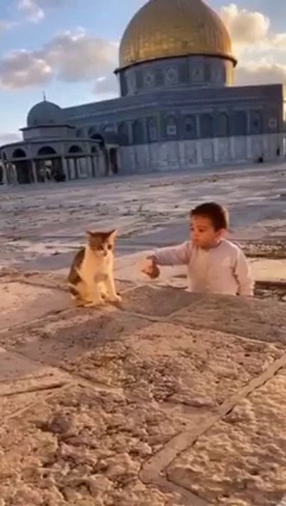 تلاوت قاری عبد الباسط عبد الصمد حفظہ اللہ ۔
