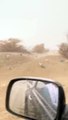 أمطار غزيرة وبرد شمال منطقة مكة المكرمة
