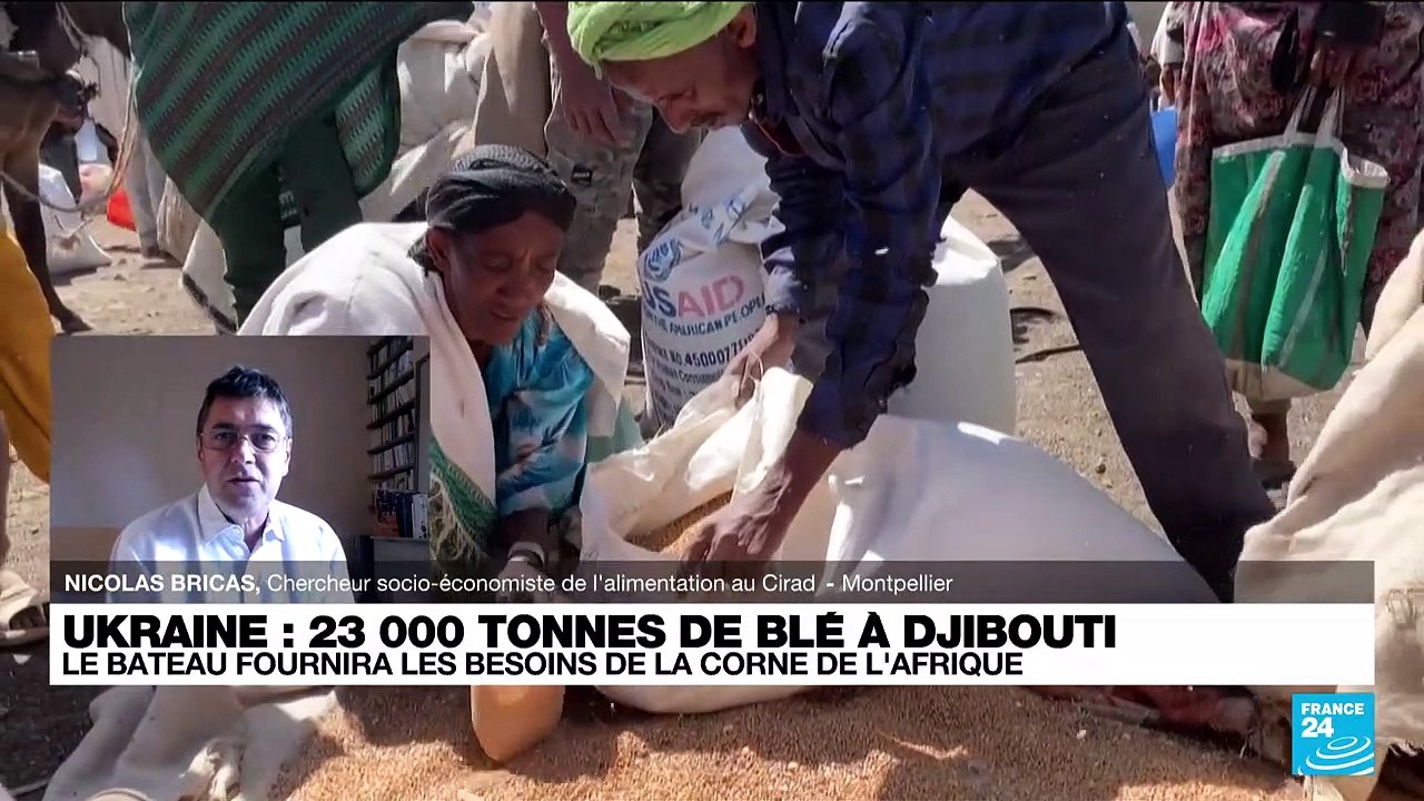 Crise alimentaire : l’Afrique à l’abri, "on peut s’inquiéter de la situation au Pakistan"