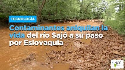 Contaminantes aniquilan la vida del río Sajó a su paso por Eslovaquia
