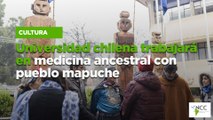 Universidad chilena trabajará en medicina ancestral con pueblo mapuche