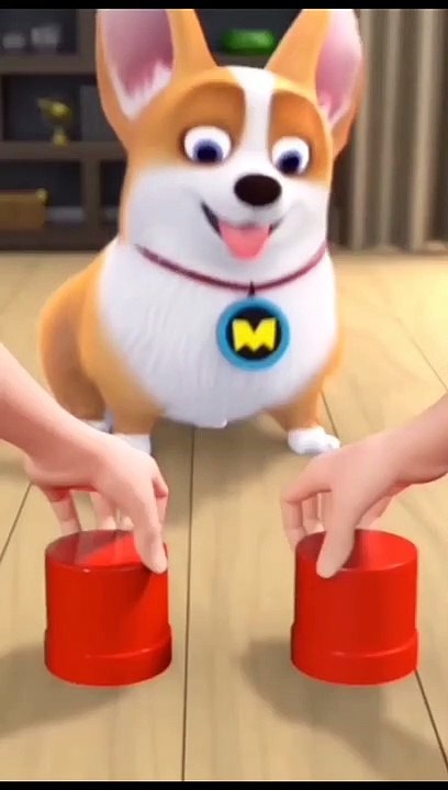 Cute Dog playing