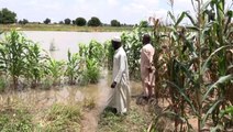 Flooding in Nigeria destroys houses and farmland