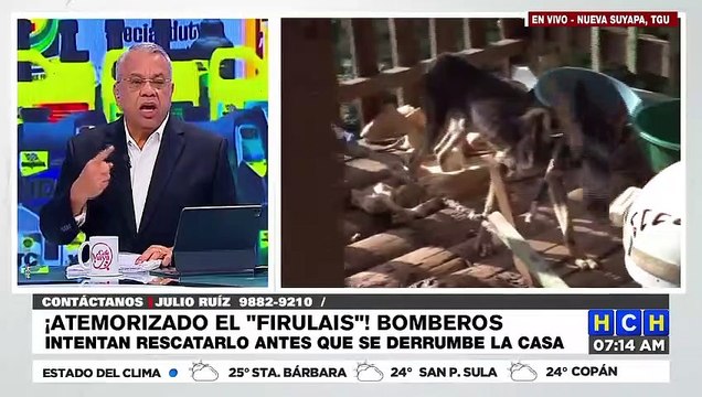 ¡Tras llamado de HCH! Bomberos inician rescate de familia y su mascota en col. Nueva Suyapa