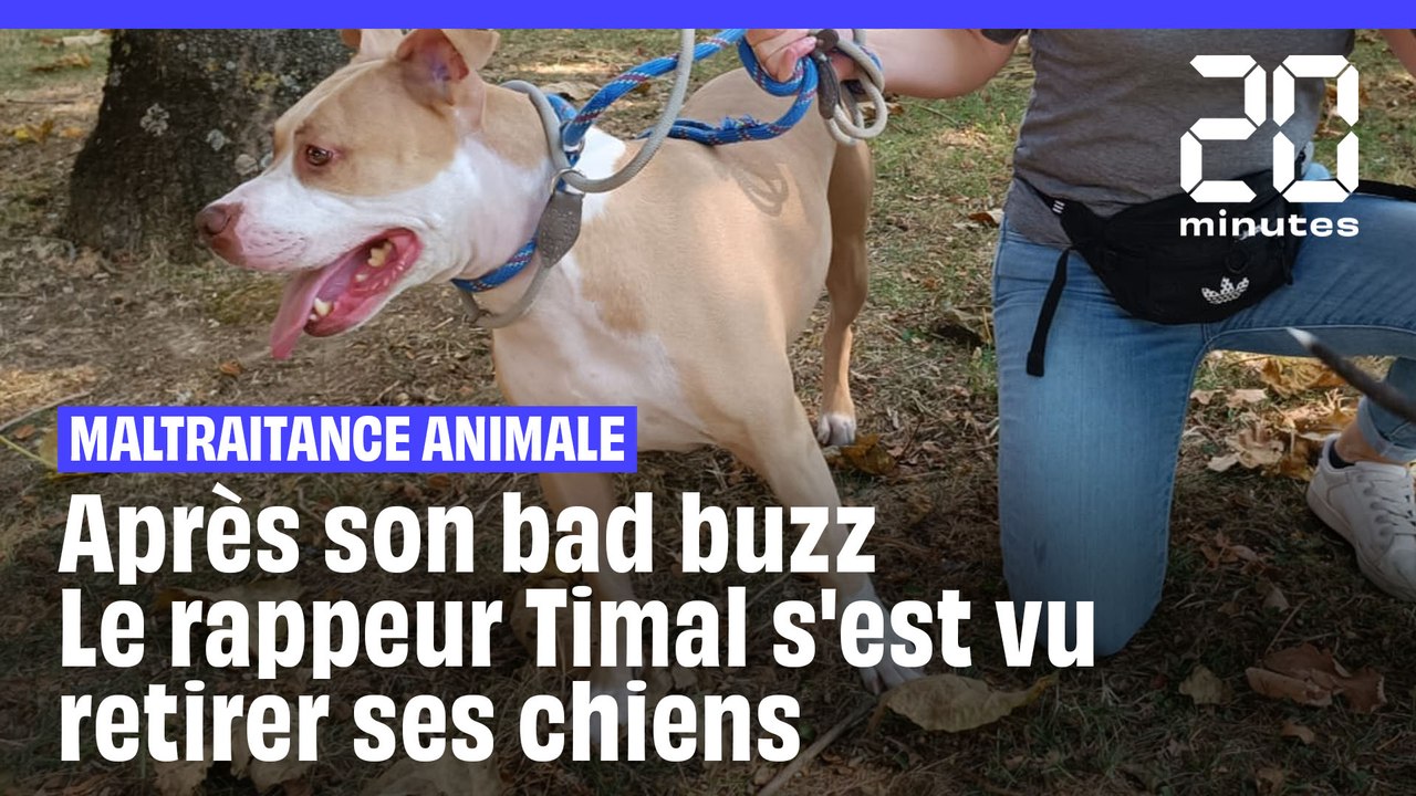 Le rappeur Timal s'est vu retirer ses chiens après s'être filmé frappant l’un d’eux