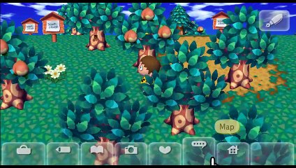 Animal Crossing: Let's Go to the City online multiplayer - wii