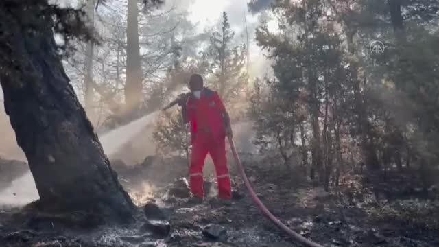 Son dakika haberleri... Ormanlık alanda çıkan yangın kontrol altına alındı