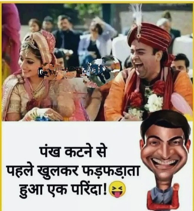 Funny picture video