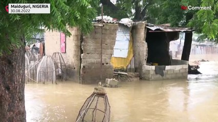Inondations : lourd bilan au Nigeria