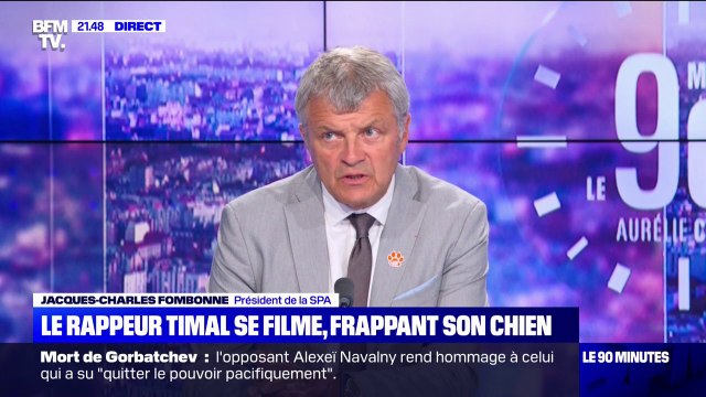 Le président de la SPA espère une sanction exemplaire pour Timal, le rappeur qui a frappé son chien