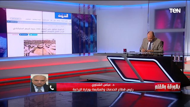 بالأرقام| تسعير أردب القمح للموسم المقبل.. رئيس قطاع الخدمات بوزارة الزراعة يكشف كافة التفاصيل
