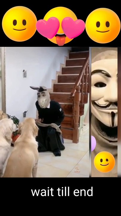 VIDEO_e3337441-b8f1-4869-8d00-7ec3187106aa