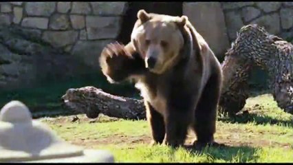 Nouveau départ (2011) - Bande annonce