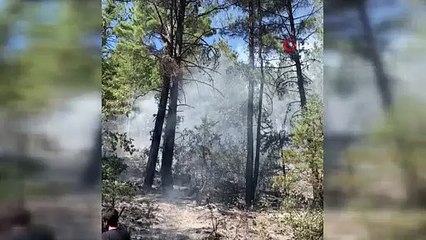 Antalyada orman yangını kontrol altına alındı