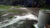 ext-2-Granizo en el Parque Nacional Braulio Carrillo-310822